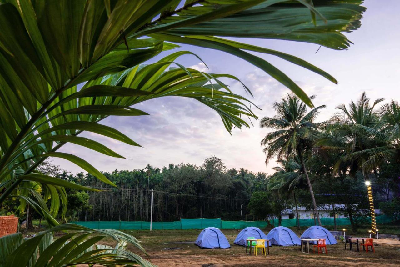 Fortune River Resort Dandeli Kültér fotó