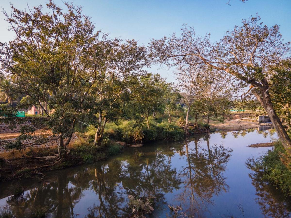 Fortune River Resort Dandeli Kültér fotó