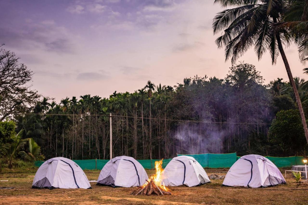 Fortune River Resort Dandeli Kültér fotó